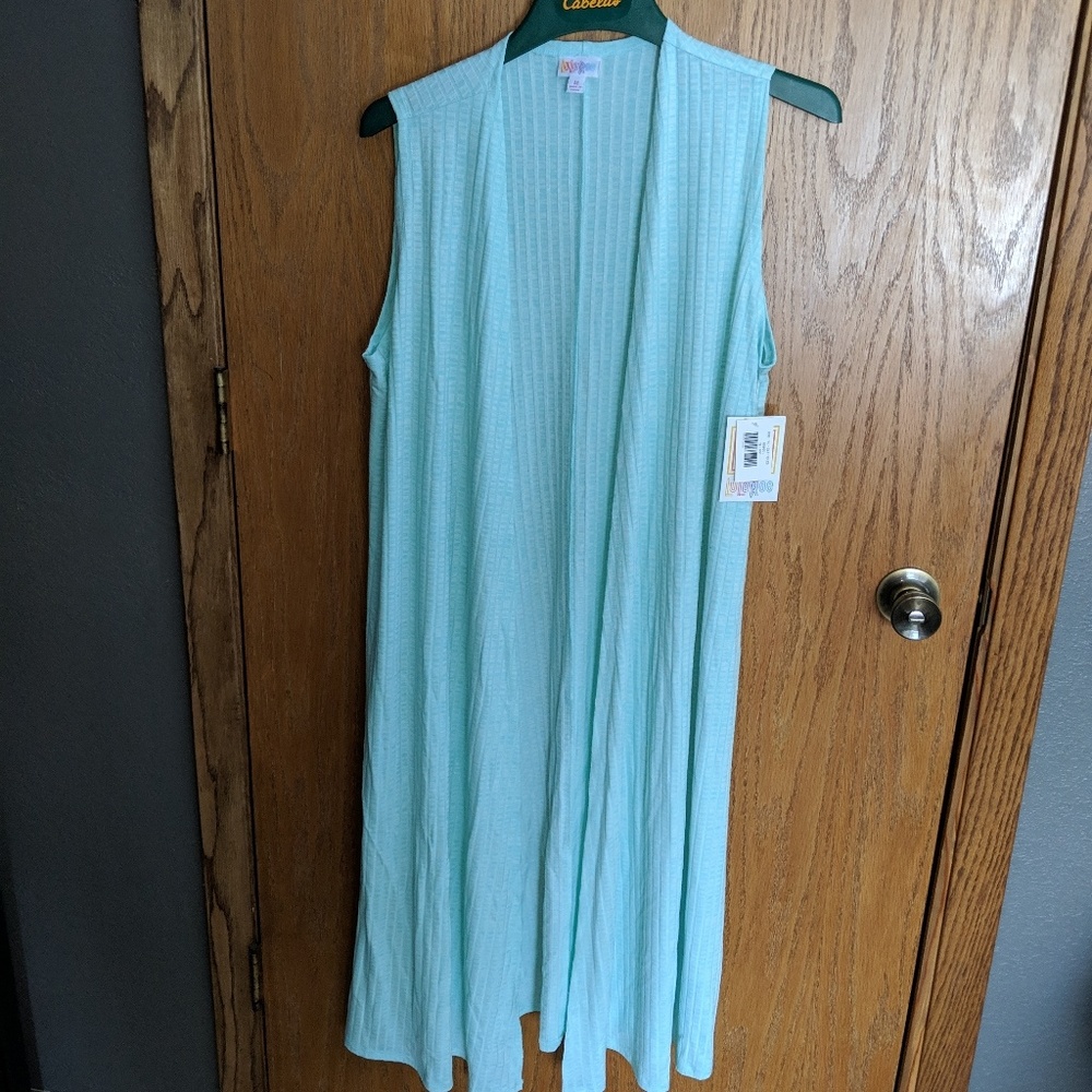 New with tags mint lularoe Joy